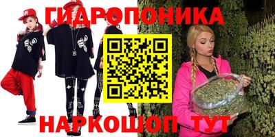 молекула духа Кандалакша