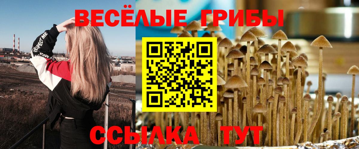 Галлюциногенные грибы Magic Shrooms Волоколамск